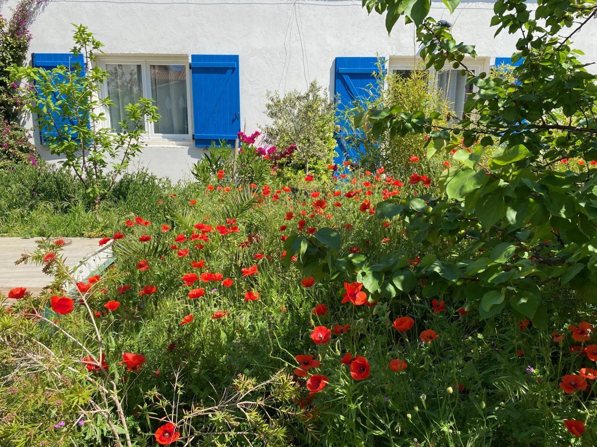 Maisonnette De Jardin Marseilles Exterior foto